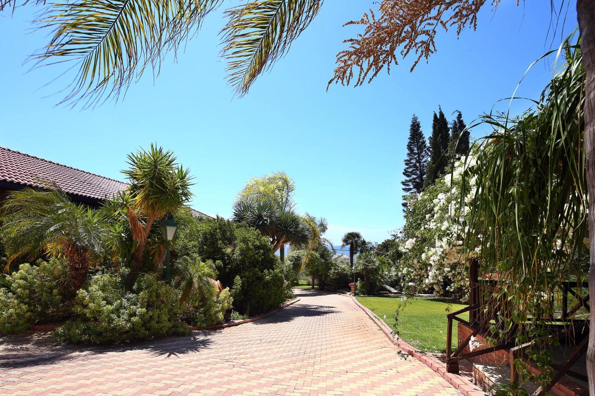 Olive Tree Apartments Limassol Exterior photo