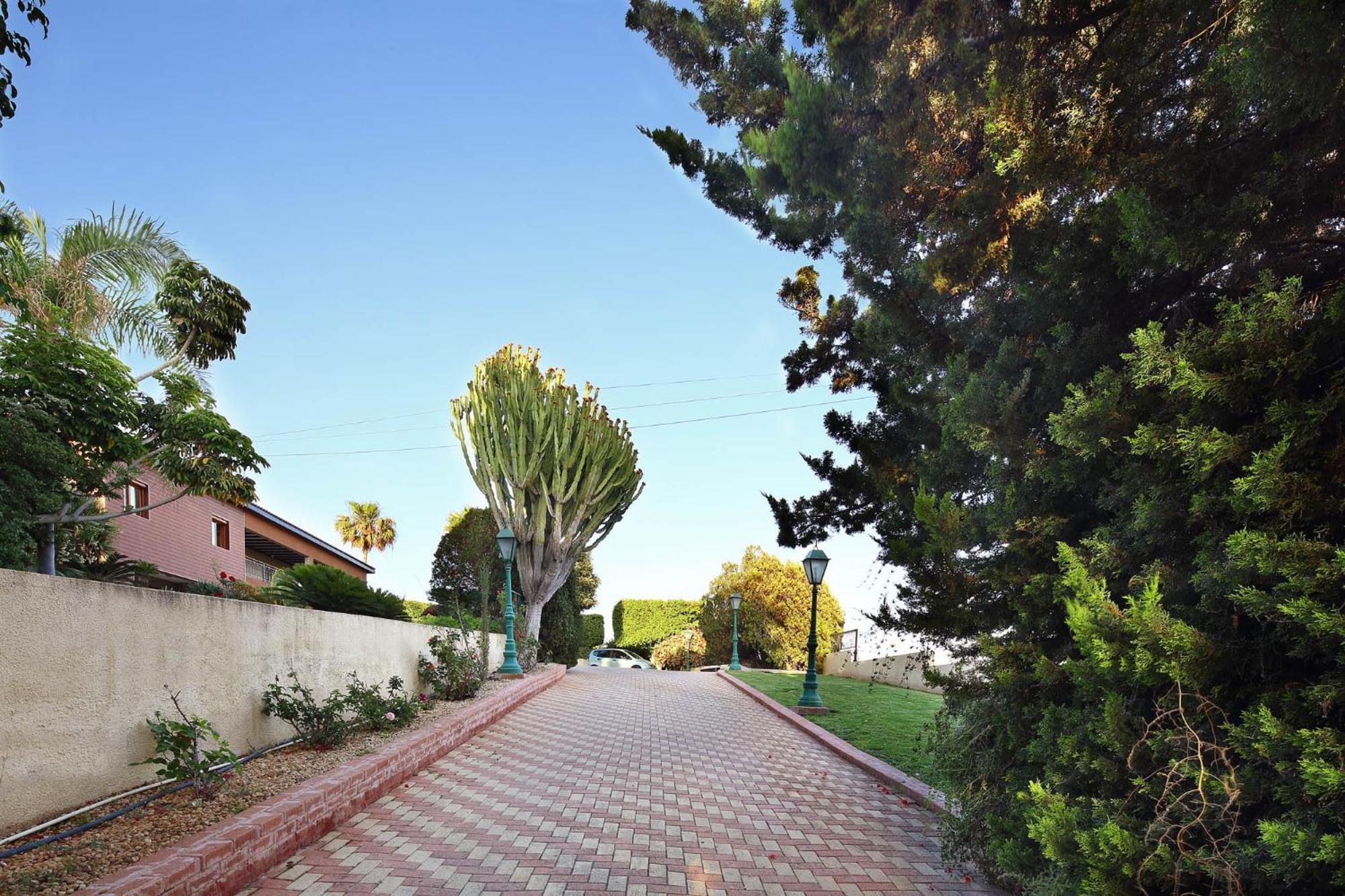 Olive Tree Apartments Limassol Exterior photo